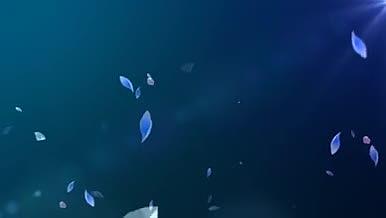 蓝色钻石花瓣唯美动态视频视频的预览图